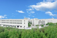 攜手同心、行而不輟，奔赴美好的2024